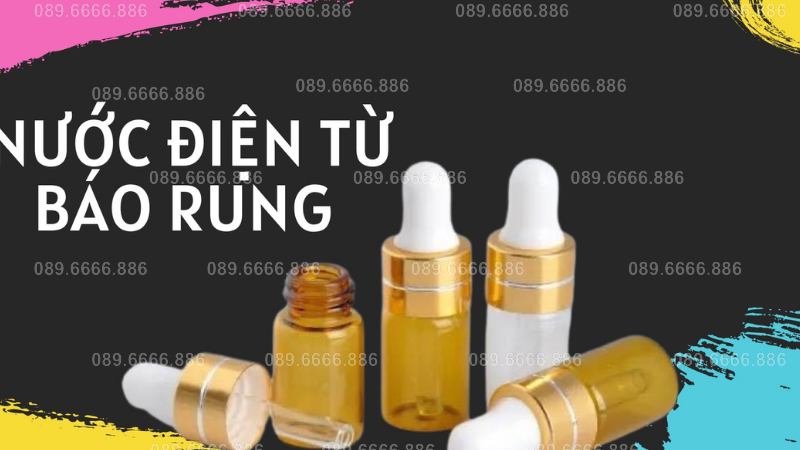 Xóc Đĩa Bịp ở Bình Phước – Cơ Hội Kiếm Tiền Hiệu Quả, An Toàn Nhất