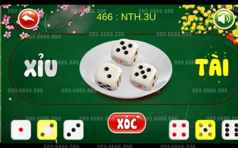 Áp dụng quy luật, công thức chuẩn và phần mềm hỗ trợ từ Cờ Bạc Bịp 24h (cobacbip24h.com). LH 089.6666.886 (Zalo).
